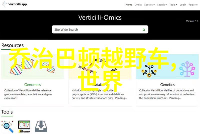 国模燕子翱翔天际的守护者国模燕子与我们的传统文化