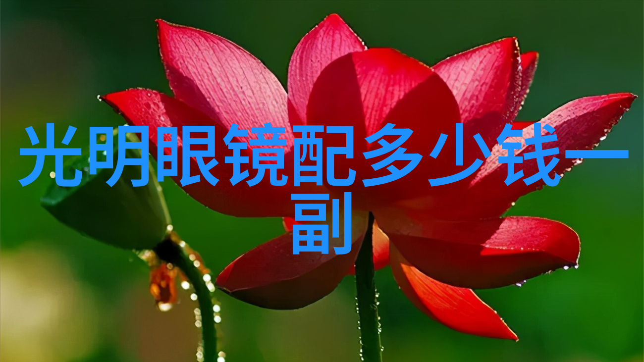 中国地质大学珠宝设计专业课程设置是否全面涵盖了行业需求