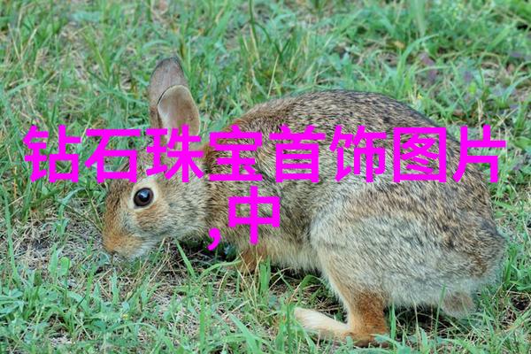 麻花传媒沈芯语老师视频沈芯语老师的魔法课堂让学习变得如此亲切