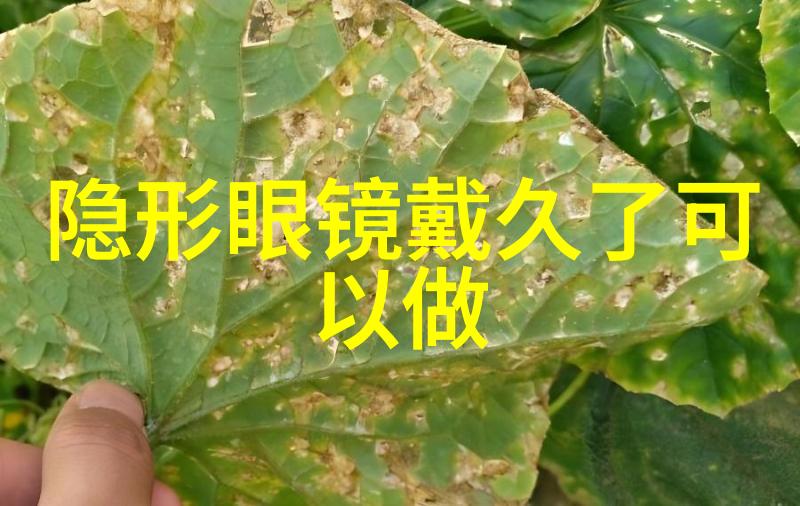 4.5天工作制-五天休息四天奋斗探索新型工作节奏的未来