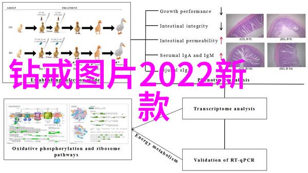 星际航海穿越无尽的气流与光辉