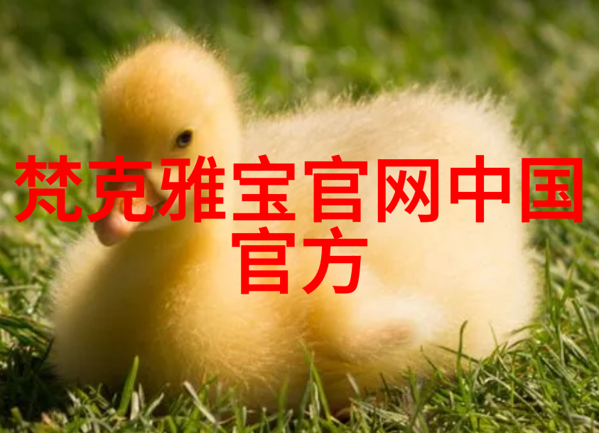 欧派浴室2镜中花月下影  未增删带翻译的沉思