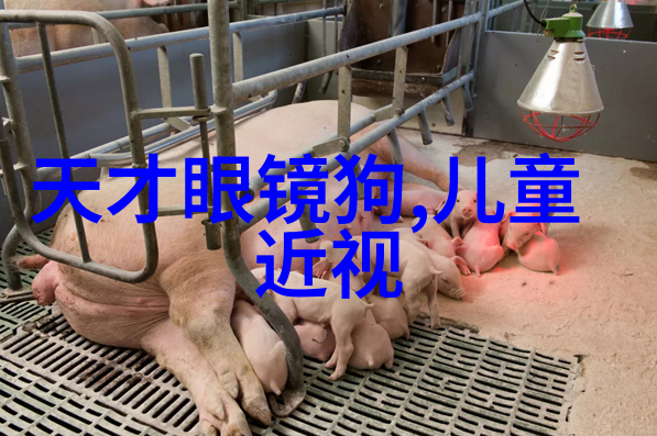 精致生活精选服饰让40-50岁女性更加迷人