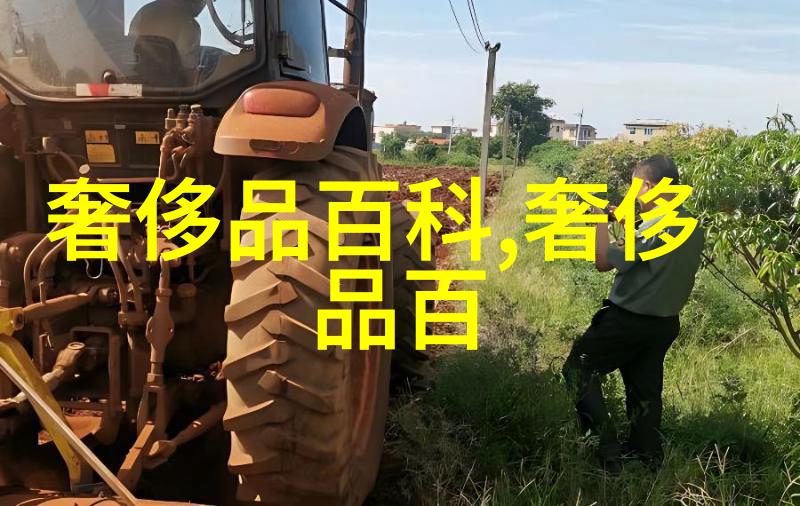 染发调色基础知识我是怎么学会自己在家染发的