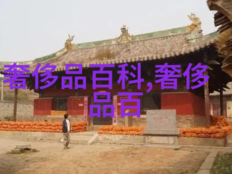 教剪头发初学的视频美容DIY技能提升