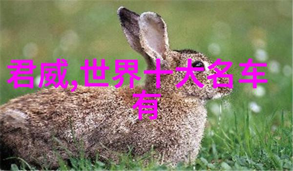 深海梦幕水母影视电影的奇幻旅程