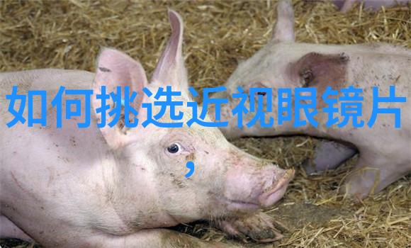 宝宝的夹车艺术一场无声的亲子协奏