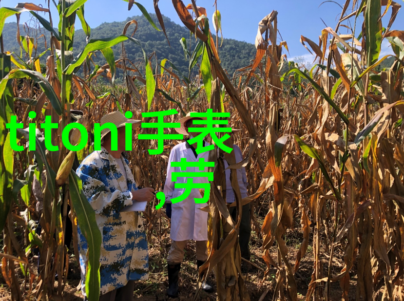 在经历一系列挫折后张杰是怎样重新找回信心的