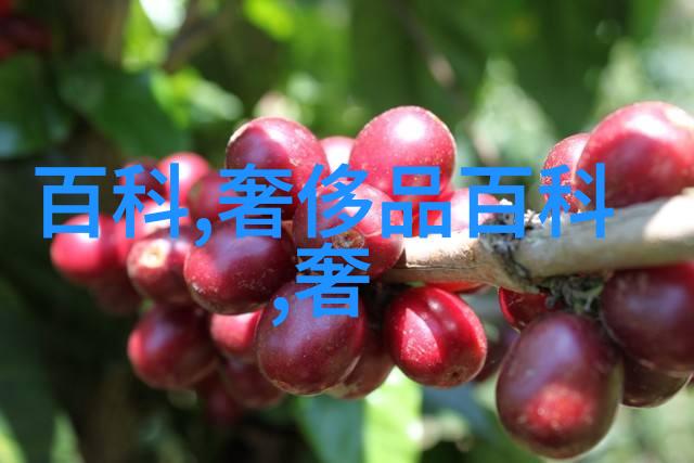 品味高雅的你应知晓香氛与催情香水的差别以及它们如何使用
