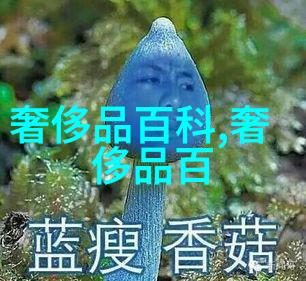 使用男士穿衣搭配软件能否真正提升个人的审美水平