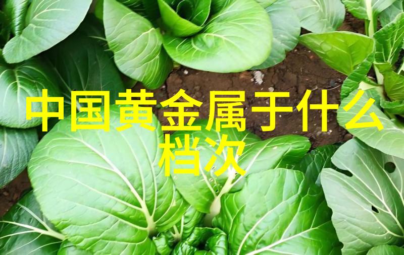 北辰小说社林杭景萧的奇幻世界免费探索
