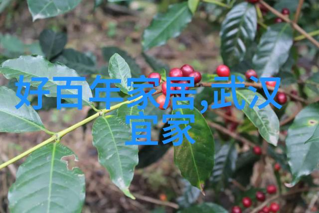 理发新手入门指南剪刀与梦想的初次相遇