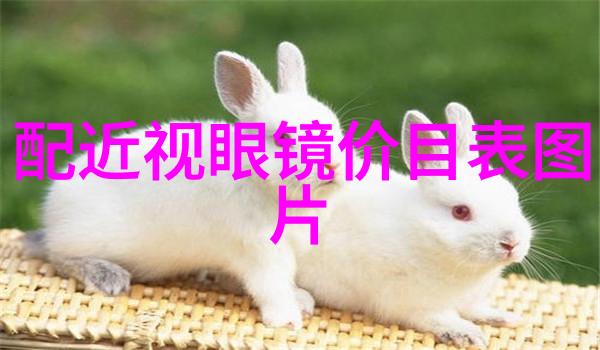 3节片的文化魅力探究