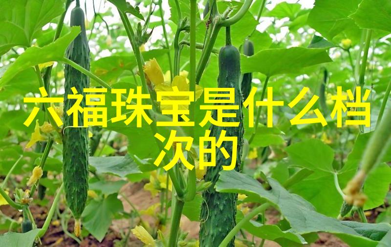SNH48樱花成员浴室私密吻戏SNH48的温柔女子们在浴室中的秘密接吻