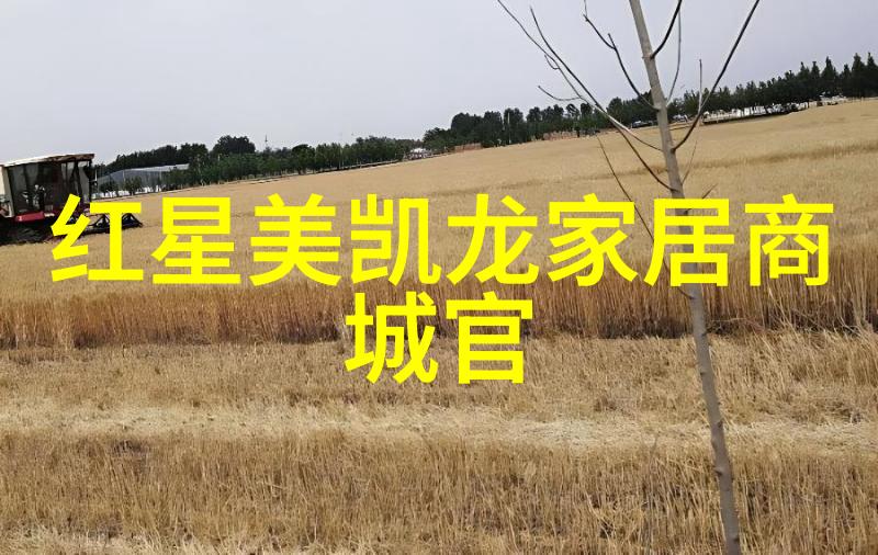 北方影院真假千金下我在北方影院的假千金冒险