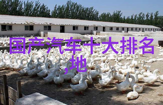 青春不老探讨与体验40后女性减龄化的现代美容潮流趋势及实用技巧分享