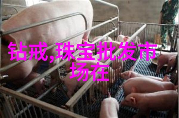 车模少女多肉1V1的汽车美女对战
