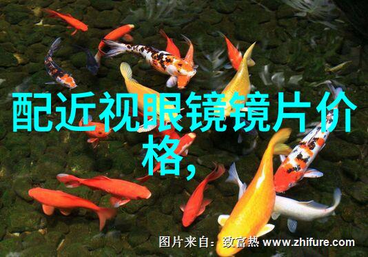18seRAPPERDISSSUBS_-街头嘻哈与网络吐槽一代年轻人对话文化与身份的双重边界