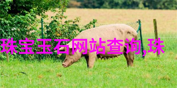 珠光宝气推荐六款投资有潜力的珠宝