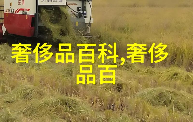 美发学院全国前十名我是如何成为全国顶尖美发高手的