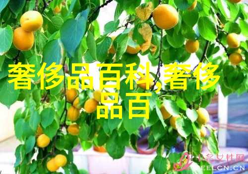 秘制炸鸡配方解密如何制作香脆又不腻