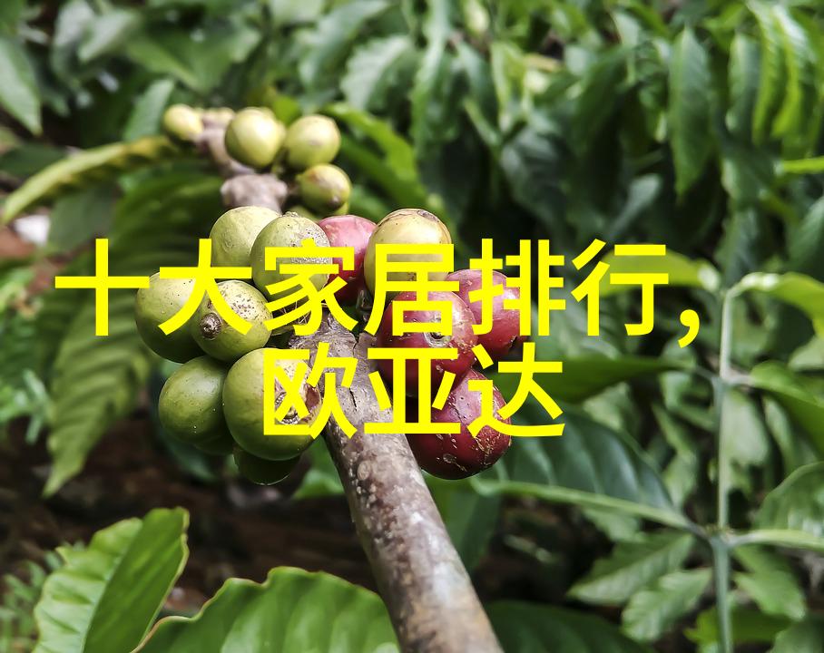 轻奢风格在现代家居设计中的应用与审美探究