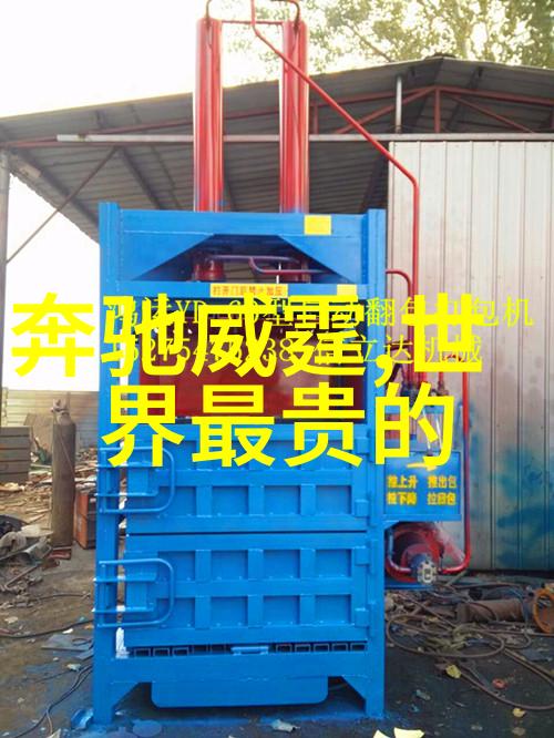 老树开花下的驾校情缘