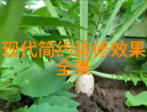 蜜桃传播触摸心灵的力量