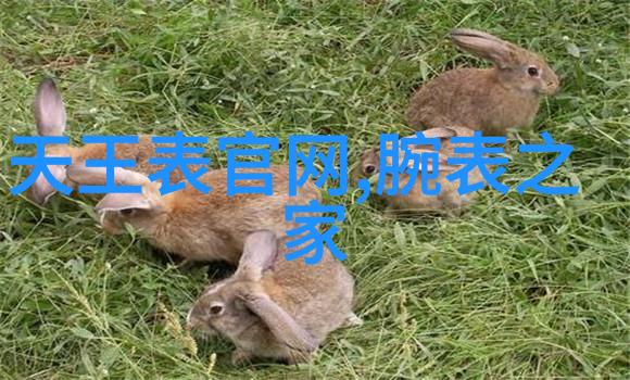 真我香水3款必备香水让商务男士成为会议室焦点