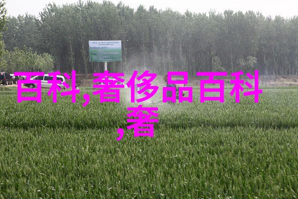 巧克力开心乐园官方网站-甜蜜探索揭秘巧克力世界的奇妙之旅