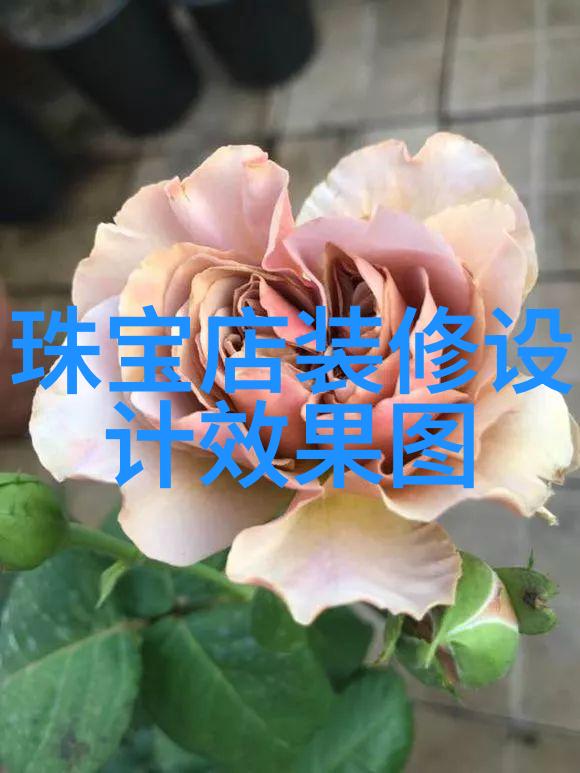 高冷男生的鞋子选择之道怎样挑选一双完美的皮鞋