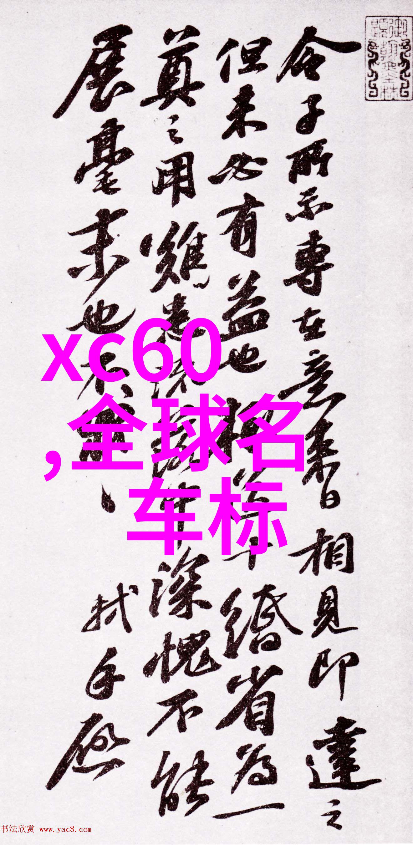 春日新韵探索今年流行发型女的魅力与时尚元素
