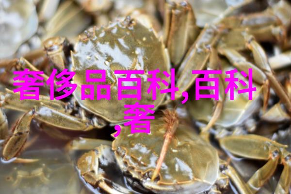 一岁三岁的简单编发艺术