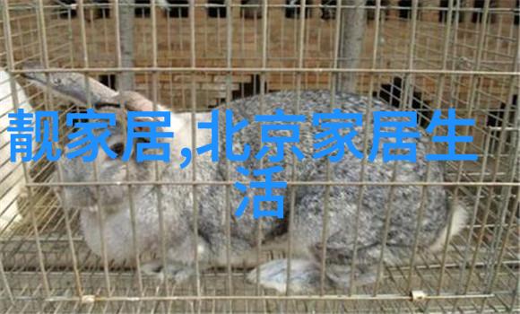 JEALOUSVUE熟睡APP深度放松与安心入眠的智能生活解决方案