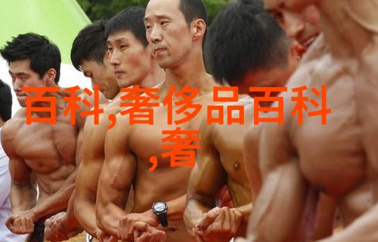 海鸥手表在自然中展现时尚与科技的和谐共融