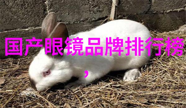 尼尚探索古代丝绸之路上的神秘汗国