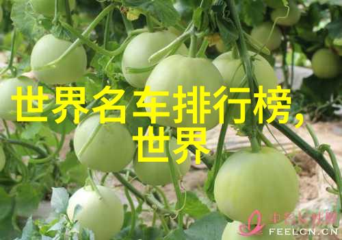 男生穿搭技巧-精致时尚男士衣物搭配艺术的探索