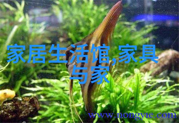 姜可林慕爱恋与谜团的交错之旅