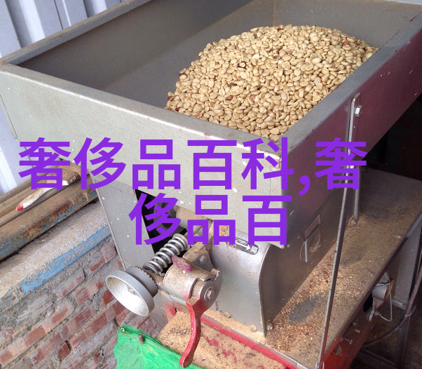 温暖时尚女士羽绒服优雅舒适的冬季着装