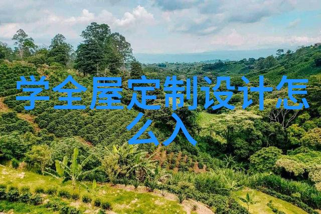 理发艺术的书籍选择与学习方法