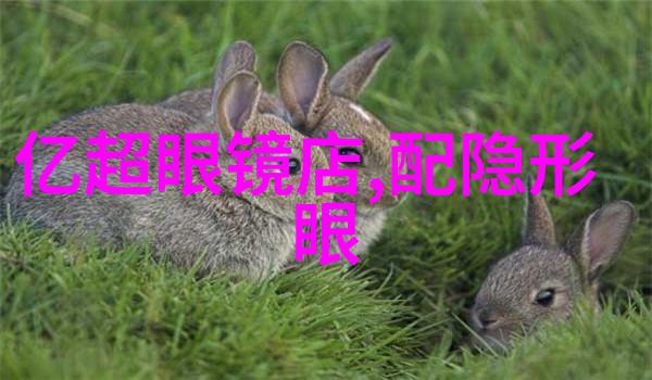 穿到女配作死前(穿书)我怎么了
