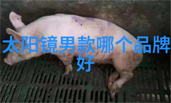 时尚与习惯-手表带哪只手探索不同文化的腕上时钟风格