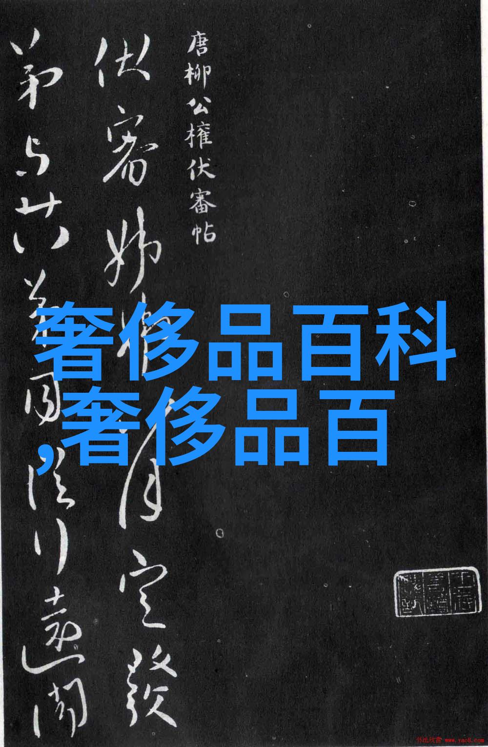 暴能特区我在这片狂野的土地上求生记