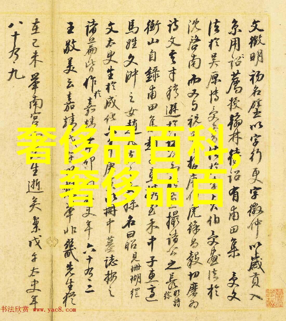 舞鞋优雅舞台的脚步伴侣