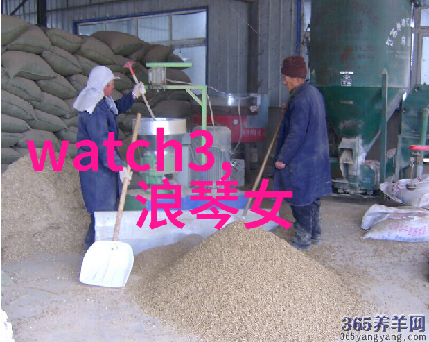 赵青蔓角色扮演系统虚拟世界中的赵青蔓冒险