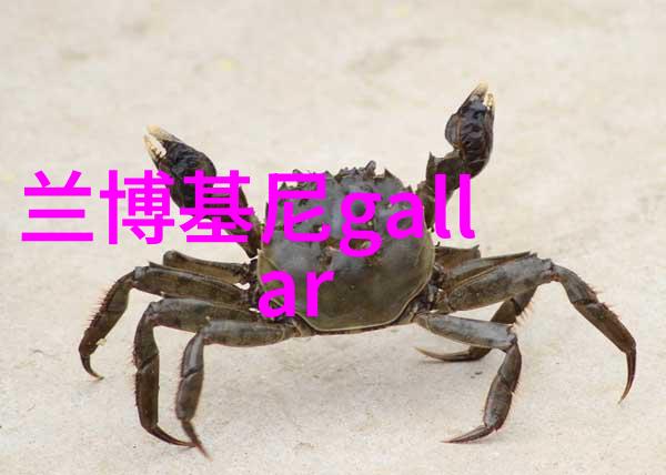 音乐2chainz街头口碑的流行之王