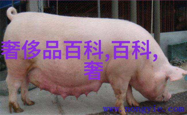 擎天柱下的隐秘揭开吃警察爸爸的擎天柱视频背后的故事