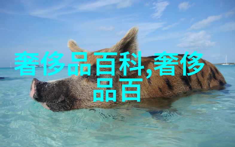 型男志我是怎么成为街头巷尾的焦点人物