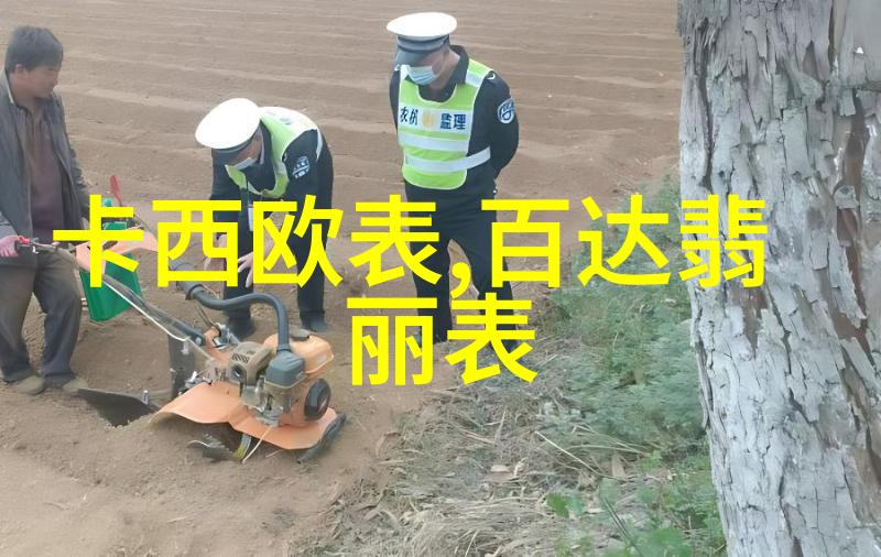 女王的棋逢对手揭秘古代象棋中的必下策略