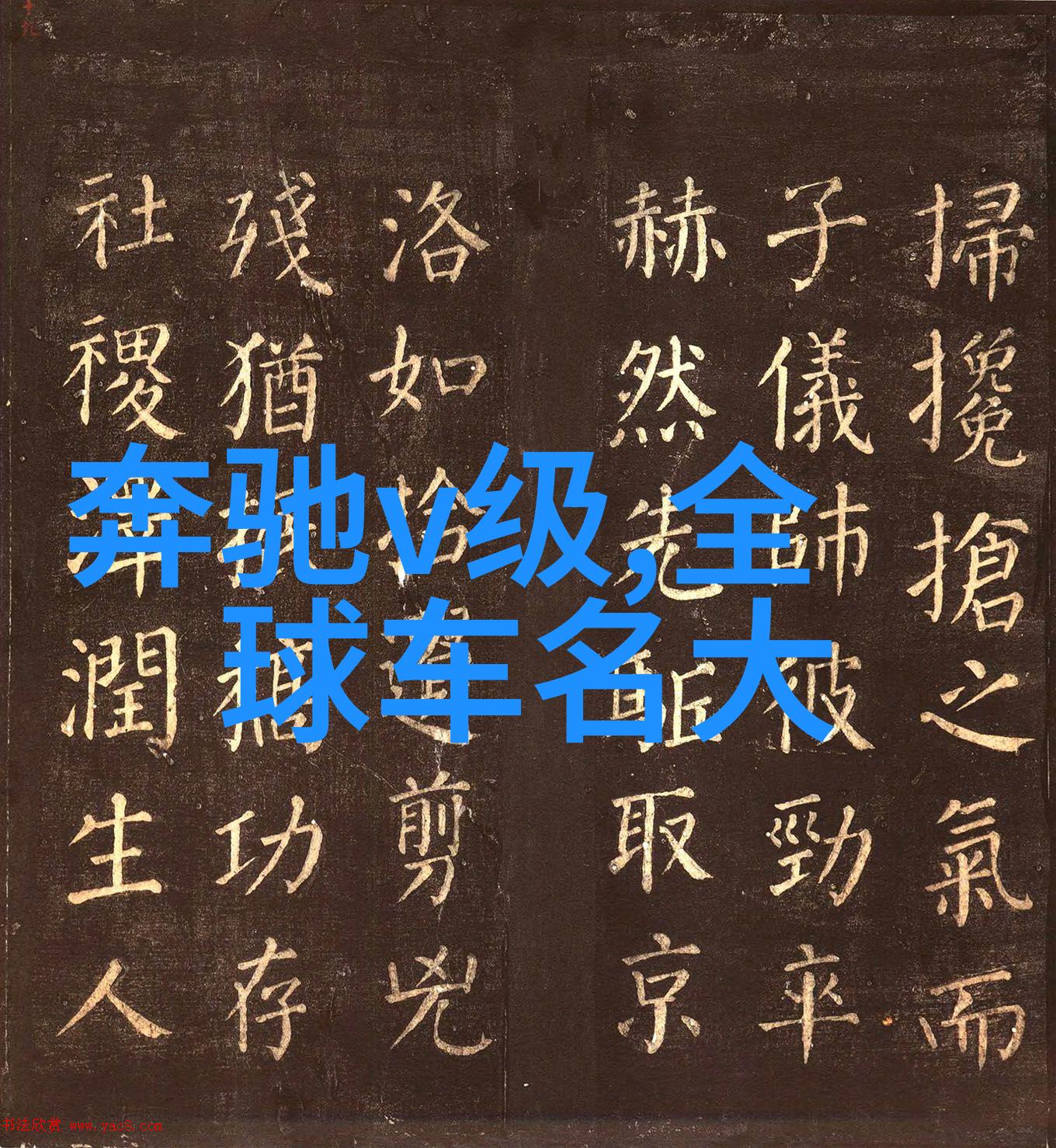 春日漫步休闲裤的完美搭档